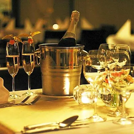 梧桐树下餐厅酒店 3* Chrzanów
