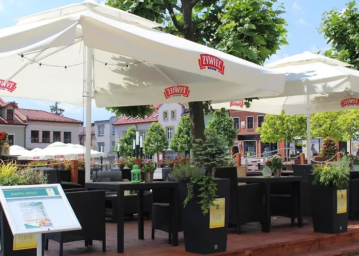 מלון Hotel-restauracja Platan 3*