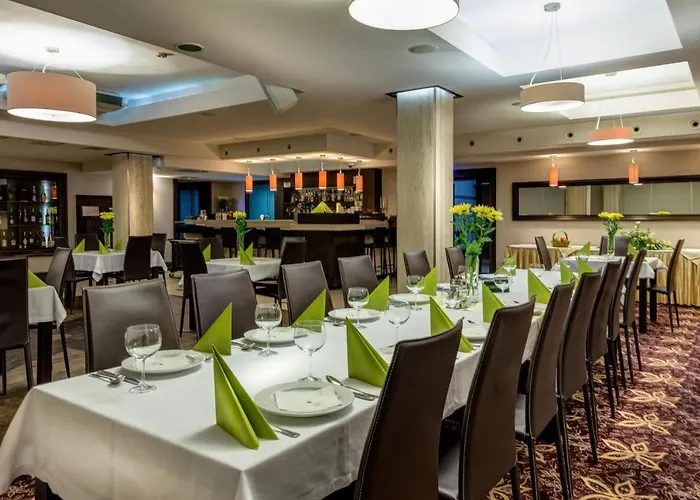 מלון Hotel-restauracja Platan Chrzanów