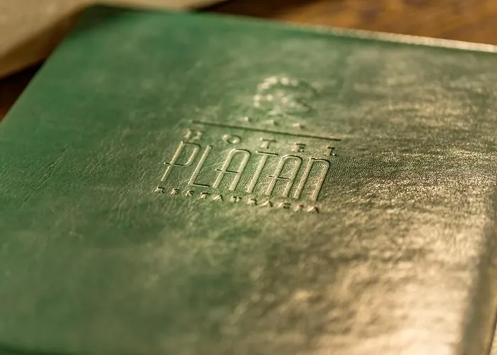 Hotel-restauracja Platan