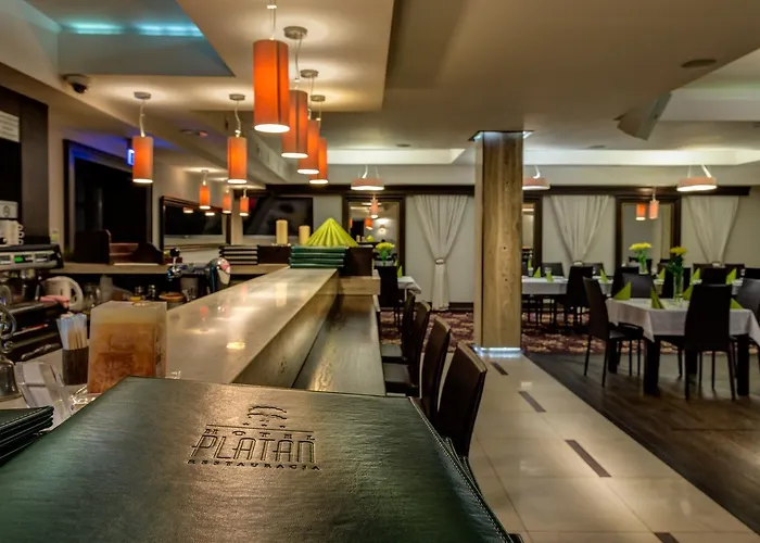 Hotel-restauracja Platan מלון 3*